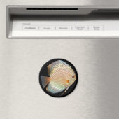 discus magneet (Insitu (Vaatwasser))
