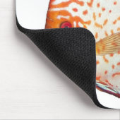 Discus Muismat (Hoek)