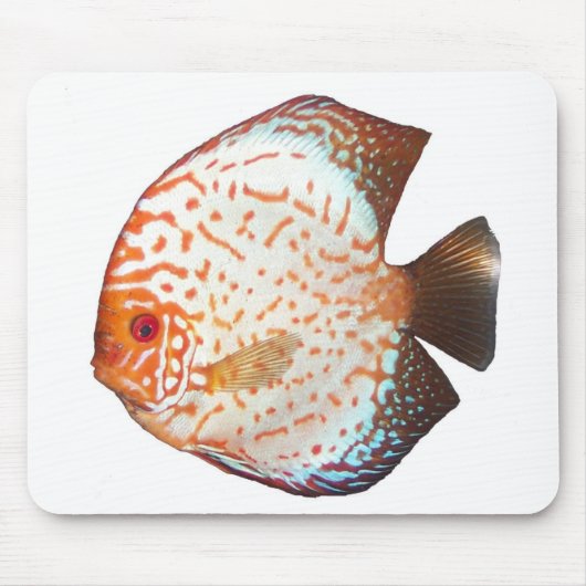 Discus Muismat (Voorkant)