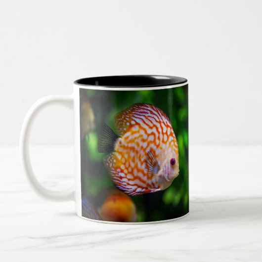 Discus Tweekleurige Koffiemok (Links)