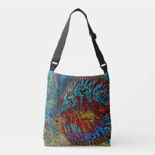 Discus vis Tas