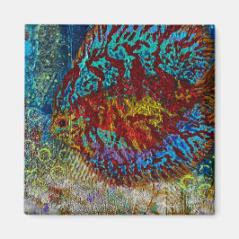 Discus vismagneet magneet