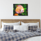 Discusvis canvas afdruk (Insitu (Slaapkamer))