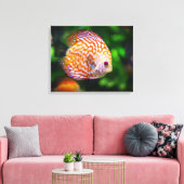 Discusvis canvas afdruk (Insitu (Woonkamer))