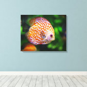 Discusvis canvas afdruk (Insitu (Houten vloer))