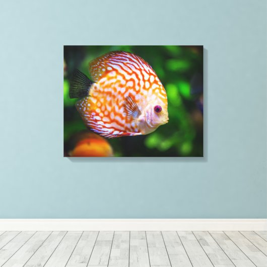 Discusvis canvas afdruk (Insitu (Houten vloer))
