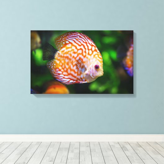 Discusvis canvas afdruk (Insitu (Houten vloer))