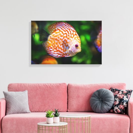 Discusvis canvas afdruk (Insitu (Woonkamer))