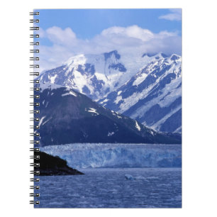 Disenchantment Bay en Hubbard-gletsjer, Notitieboek