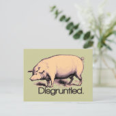 Disgruntled pig briefkaart (Staand voorkant)