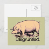 Disgruntled pig briefkaart (Voorkant / Achterkant)