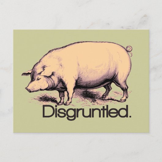 Disgruntled pig briefkaart (Voorkant)