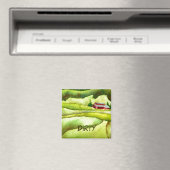 Dish Washer Status Magnet (Insitu (Vaatwasser))