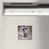 Dishwasher Magnet (Insitu (Vaatwasser))