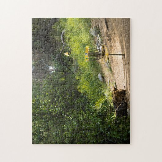 Disk Golf Puzzle Legpuzzel (Verticaal)