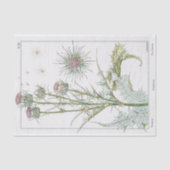 Distel, Botanische serie van Eugene Grasset Tissuepapier (Voorkant)
