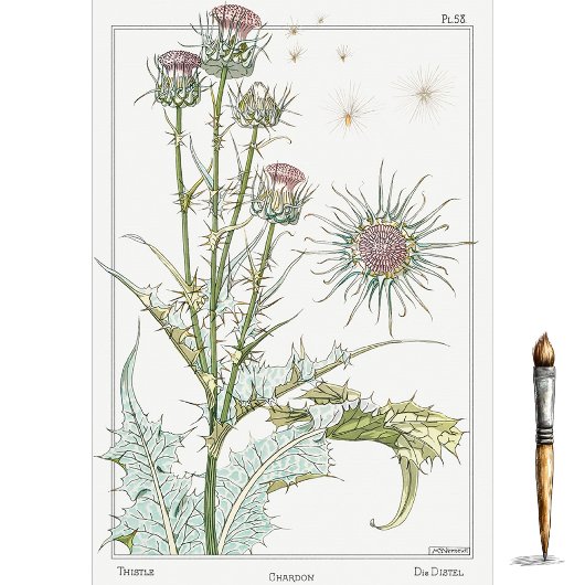 Distel, Botanische serie van Eugene Grasset Tissuepapier