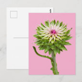 Distel (Carduus nutans) Briefkaart (Voorkant / Achterkant)
