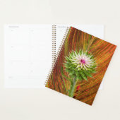 Distel (Carduus nutans) Planner (Display)