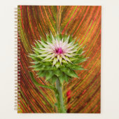Distel (Carduus nutans) Planner (Voorkant)