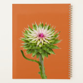 Distel (Carduus nutans) Planner (Achterkant)