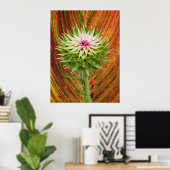 Distel (Carduus nutans) Poster (Thuiskantoor)