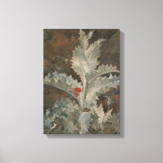 Distel (door John Crome) Canvas Afdruk (Voorkant)