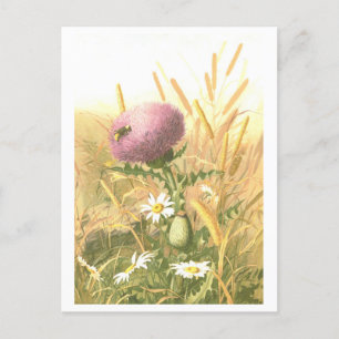Distel en Bij Ansichtkaart Briefkaart