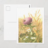 Distel en Bij Ansichtkaart Briefkaart (Voorkant / Achterkant)