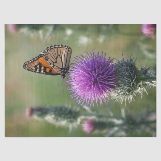 Distel en Vlinder Print Tissuepapier (Voorkant)