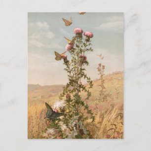 distel   Fidelia Bridges Briefkaart