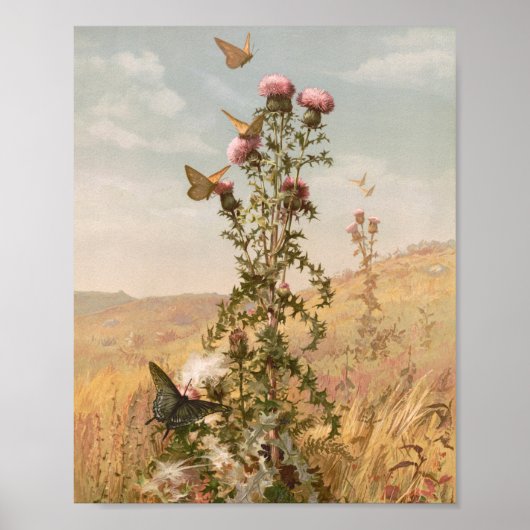 distel | Fidelia Bridges Poster (Voorkant)