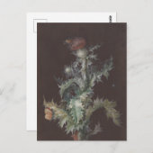 Distel met Insecten 1755 Johann C. Dietzsch Briefkaart (Voorkant / Achterkant)