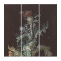 Distel met Insecten 1755 Johann C. Dietzsch
