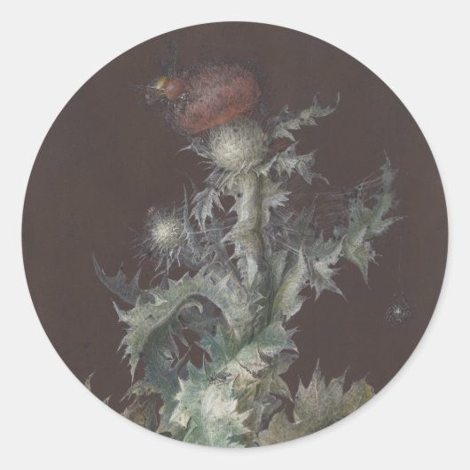 Distel met Insecten 1755 Johann C. Dietzsch Ronde Sticker (Voorkant)