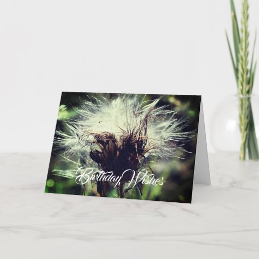 Distel Pluizen Bloem Aanpasbare Verjaardag  Kaart (Voorkant)