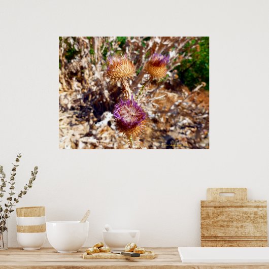 Distel Poster (Keuken)