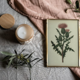 Distel Van Bloemen en Varens van Amerika Poster