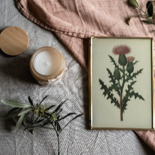 Distel Van Bloemen en Varens van Amerika Poster