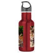 Distel Waterfles (Achterkant)