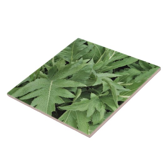 Distelblad Tegeltje (Zijkant)