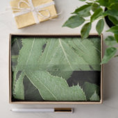Distelbladeren Tissuepapier (Geschenk)