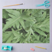 Distelbladeren Tissuepapier (Craft)