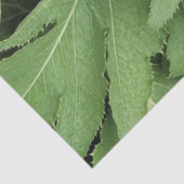 Distelbladeren Tissuepapier (Detail)