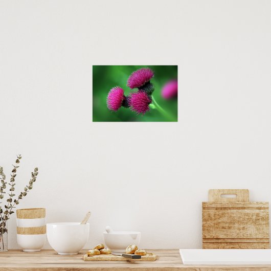 Distelbloem Poster (Keuken)