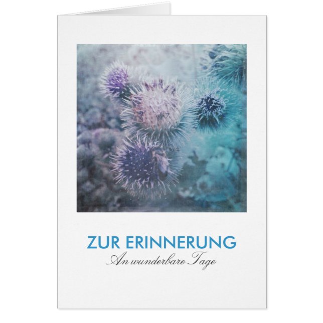 Distelblüten (Voorkant)