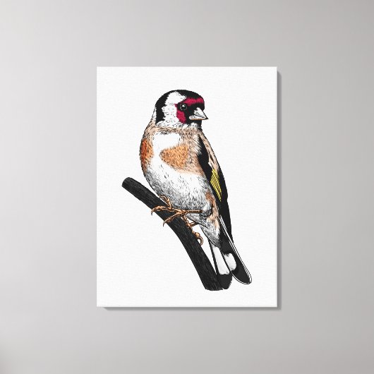 Disteltekening Canvas Afdruk (Voorkant)