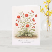 Distracta dispersissima - De Verspreide Bloei Kaart (Gele Bloem)