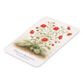 Distracta dispersissima - The Scattered Bloom Magneet (Linkerzijde)