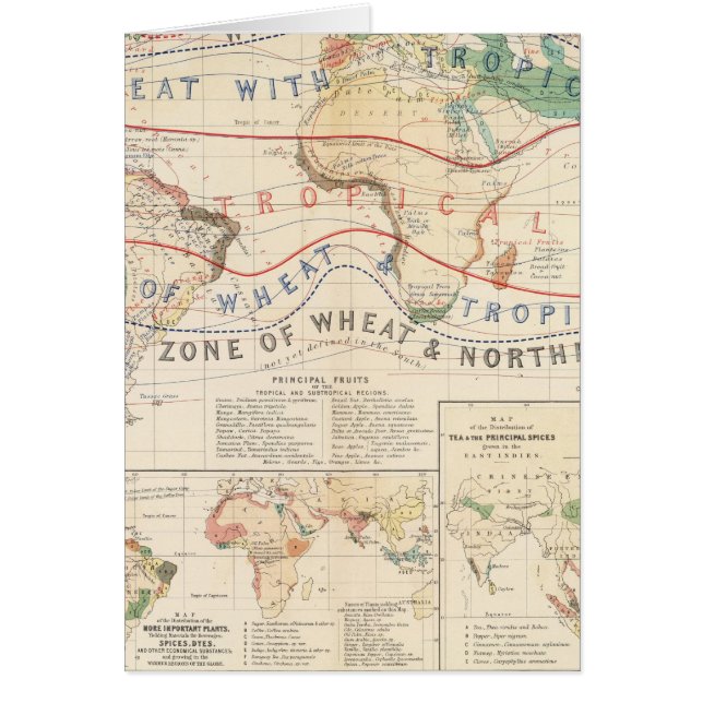 Distributie planten (Voorkant)